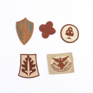 Pack of Various US Army Desert Badges Pack A