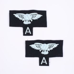 RAF A Auxiliary Other Ranks Sleeve Eagles 
