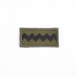 Royal Scots Dragoon Guards TRF Patch Sew On Green 