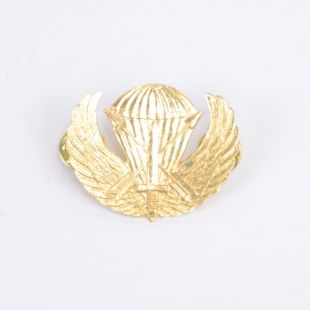 US Army Special Forces Paarchute Qualification Badge