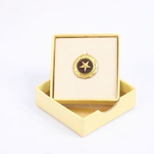US Gold Star Lapel Badge Original