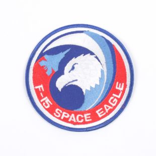 USAF F-15 Space Eagle Patch