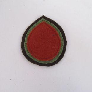 ATS Beret Backing Patch