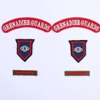 1st (Motorised) Grenadier Guards, 1st Division Normandy Infantry badge set