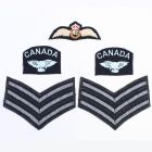 RAF Canadian Sergeant Pilot's Badge set