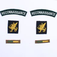 43rd Reconnaissance Regiment 43rd Division Normandy badge set